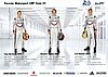 Card 2017 Le Mans 24 h Verso (NS).jpg