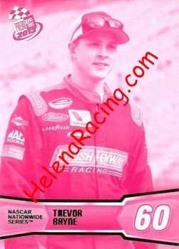 2013 Pass-Nationwide-Pink.JPG