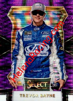 2017 Select-1-Purple.jpg