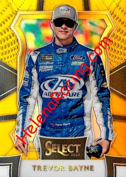 2017 Select-1-Yellow.jpg
