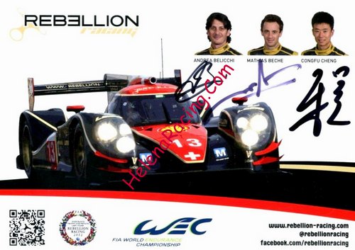 Card 2013 WEC-LMP1 (S).JPG