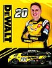 Card 2022 Nascar Cup-DeWalt (NS).jpg