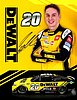 Card 2022 Nascar Cup-DeWalt (S).jpg
