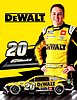 Card 2023 Nascar Cup-DeWalt (NS).jpg