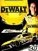 Card 2024 Nascar Cup-De Walt (NS).jpg