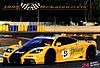 Card 1995 Le Mans 24 hours-ACO (NS).jpg