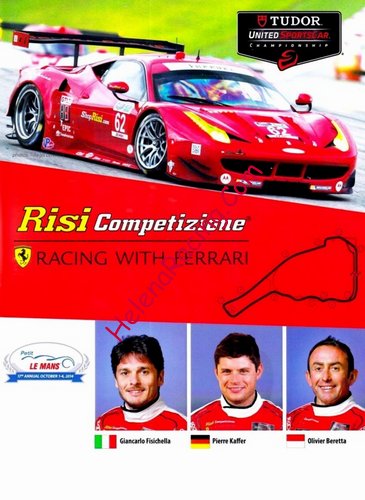 Card 2014 Petit Le Mans (NS).jpg