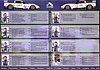 Card 2008 ELMS-GT1 Verso (NS).jpg