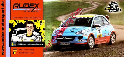 Card 2014 Rally-ADAC (NS).JPG