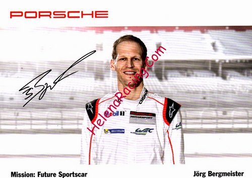Card 2015 Le Mans 24 h (P).jpg