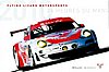 Card 2010 Le Mans 24 h (NS).jpg
