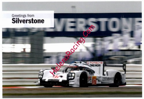 Card 2015 WEC-LMP1-Silverstone (NS).jpg