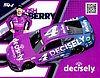 Card 2024 Nascar Cup-Decisely (NS).jpg
