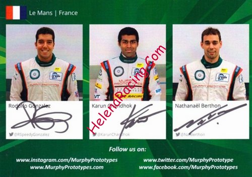 Card 2014 Le Mans 24 h Verso (S).jpg