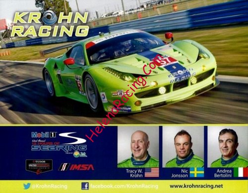 Card 2014 Sebring 12 h (NS)-.jpg