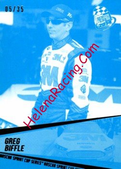 2014 Pass-Blue.jpg