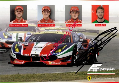 Card 2016 WEC-GTE (S).jpg
