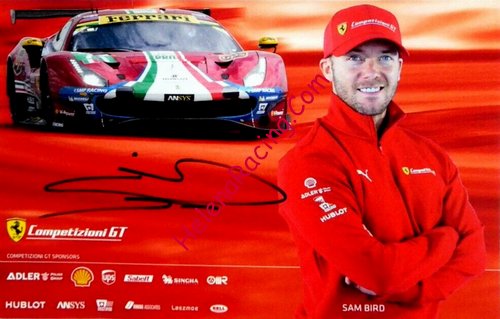 Card 2019 WEC-GTE (S).jpg