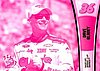 2013 Pass-Pink.jpg
