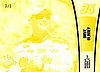 2013 Pass-Yellow.jpg