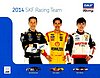 Card 2014 Sprint Cup-SKF (NS).jpg