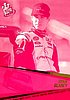 2014 Pass-Pink.jpg