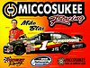 Card 2008 Nationwide Series-Miccosukee (NS).jpg