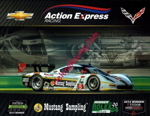 Card 2015 Sebring 12 h (NS).jpg
