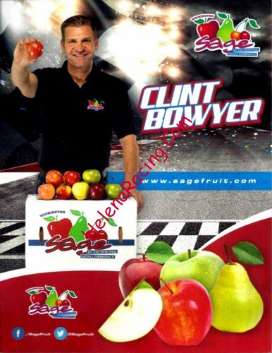 Card 2020 Nascar Cup-Sage (NS)-.jpg