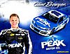 Card 2013 Sprint Cup-Peak (NS).jpg