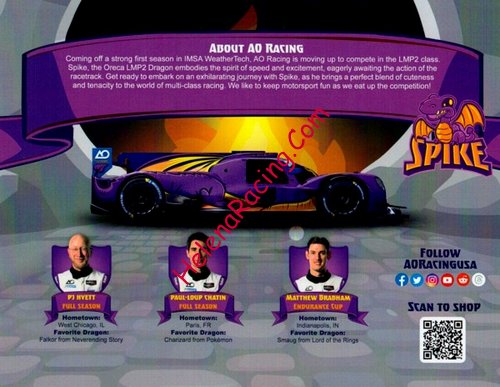 Card 2024 Sebring 12 h Verso (NS).jpg