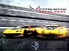 Card 2015 Daytona 24 h (S).jpg