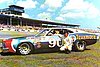 Card 1975 Winston Cup (NS)-.jpg