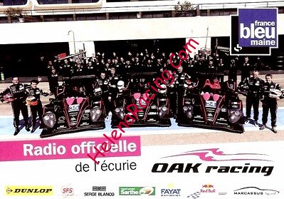 Card 2013 Le Mans 24 h-Bleu Maine (NS).jpg