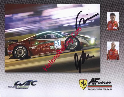 Card 2013 WEC-GTE (S).jpg