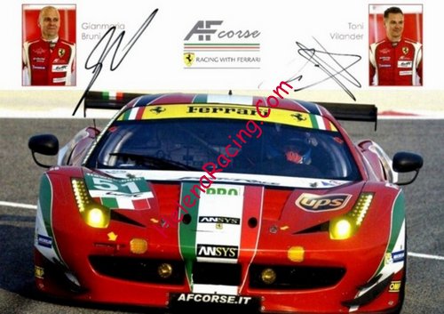 Card 2014 WEC-GTE (S)-.jpg