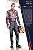 Card 2014 F1-Test Recto (NS).jpg