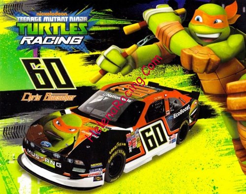 Card 2014 Nationwide-Turtles (NS).JPG