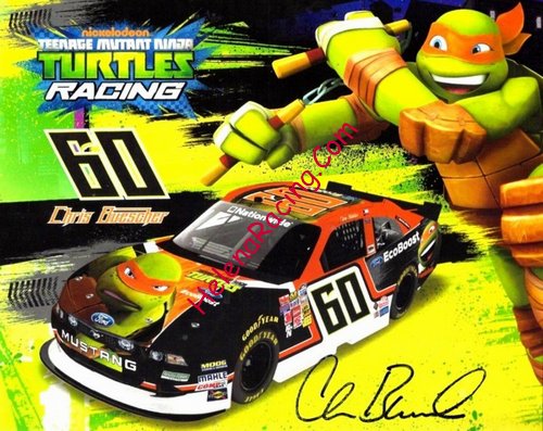 Card 2014 Nationwide-Turtles (S).JPG