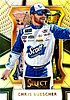 2017 Select-073-Yellow.jpg