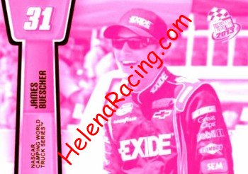 2013 Pass-Pink.JPG