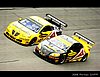 Card 2008 Daytona 24 hours (NS).jpg