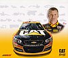 Card 2013 Sprint Cup-Cat (NS)-.jpg