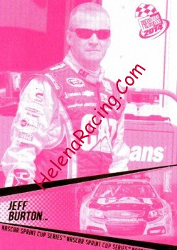 2014 Pass-1-Pink.JPG