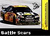 2009 Pass-Battle Scars.jpg