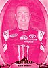 2012 Ignite-Pink.jpg