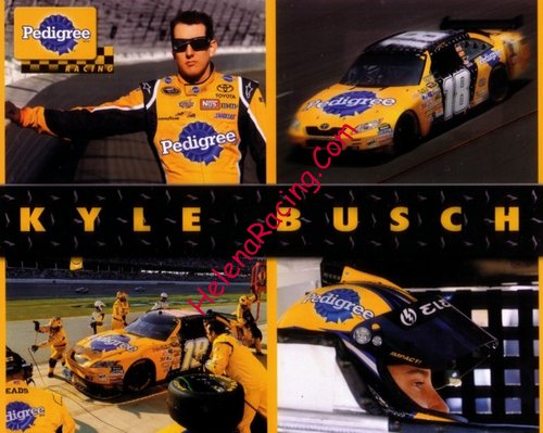 Card 2009 Sprint Cup-Pedigree (NS).jpg