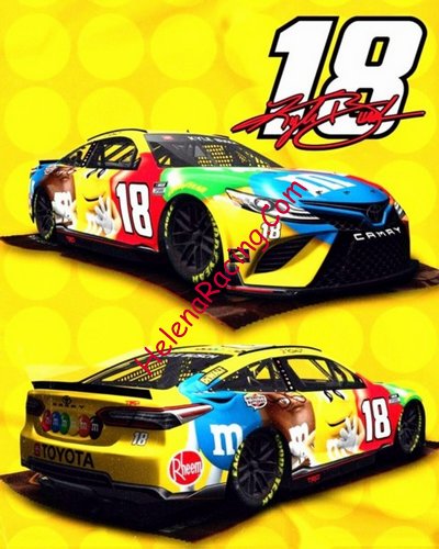 Card 2022 Nascar Cup (P).jpg