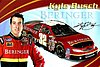 Card 2008 Nationwide-Beringer (P).jpg