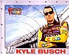 Card 2008 Sprint Cup-M&M's (NS).jpg